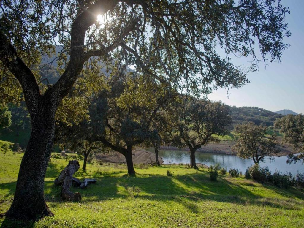 Finca La Vicaria Palomar Zufre Ngoại thất bức ảnh
