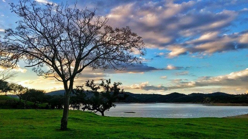 Finca La Vicaria Palomar Zufre Ngoại thất bức ảnh